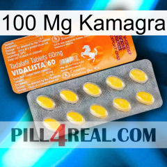 100Mg Kamagra new05